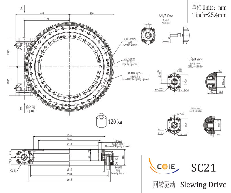 SC21 單軸回轉(zhuǎn)驅(qū)動(dòng)