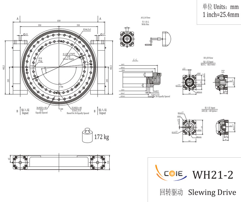 <b>WH21-2 雙蝸桿回轉(zhuǎn)傳動</b>