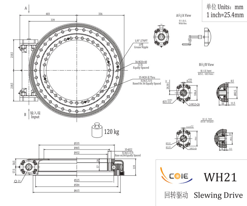 WH21 單蝸桿回轉(zhuǎn)驅(qū)動(dòng)